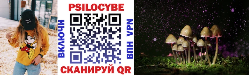 Псилоцибиновые грибы Magic Shrooms  Купить  Бирюч 